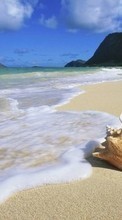 Descargar la imagen Mar,Playa,Conchas,Paisaje para celular gratis.