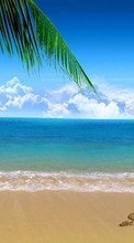 Descargar la imagen Paisaje,Agua,Mar,Corazones,Playa para celular gratis.