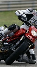 Descargar la imagen Deportes,Transporte,Motocicletas,Motocross para celular gratis.