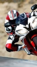Descargar la imagen Deportes,Transporte,Motocicletas,Motocross para celular gratis.
