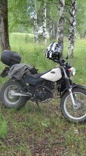 Descargar la imagen Motocicletas,Transporte para celular gratis.