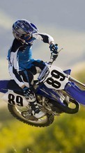 Descargar la imagen Motocross,Deportes para celular gratis.