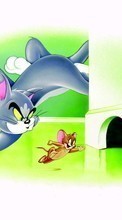 Dibujos animados,Imágenes,Tom y Jerry para Samsung Champ Neo Duos C3262