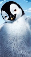 Descargar la imagen Dibujos animados,Pingüinos para celular gratis.