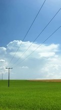 Paisaje,Los campos,Cielo,Nubes para Sony Ericsson C510