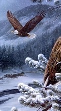 Descargar la imagen Birds,Nieve,Imágenes,Eagles para celular gratis.