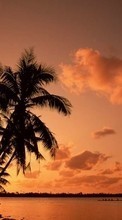 Palms,Paisaje,Puesta del sol para HTC Touch Viva
