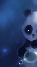 Descargar la imagen Pandas,Imágenes para celular gratis.