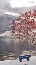 Descargar la imagen Paisaje,Naturaleza,Nieve para celular gratis.