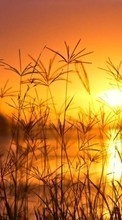 Paisaje,Naturaleza,Puesta del sol para Meizu M3 Note