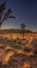 Paisaje,Puesta del sol,Desierto para HTC Touch
