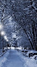 Descargar la imagen Paisaje,Invierno,Nieve para celular gratis.