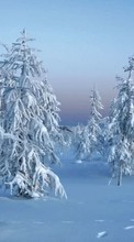 Paisaje,Nieve,Invierno para LG Prada 3.0