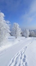 Descargar la imagen Paisaje,Nieve,Invierno para celular gratis.