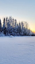 Descargar la imagen Paisaje,Nieve,Invierno para celular gratis.