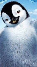 Descargar la imagen Pingüinos,Imágenes,Animales para celular gratis.