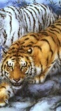 Descargar la imagen 320x480 Animales,Tigres,Imágenes para celular gratis.