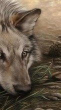 Descargar la imagen Animales,Lobos,Imágenes para celular gratis.