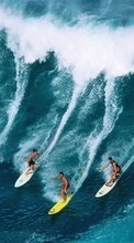 Descargar la imagen Surfing,Deportes,Ondas para celular gratis.
