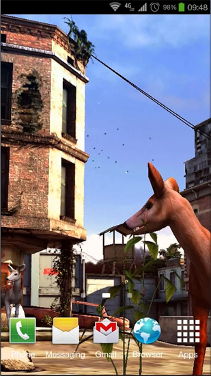 Ciudad apocalíptica  - descargar los fondos de pantalla animados Animales gratis para el teléfono Android.
