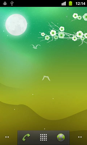 Noche floreciente   - descargar los fondos de pantalla animados Flores gratis para el teléfono Android.