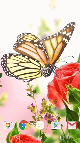 Mariposa   - descargar los fondos de pantalla animados Flores gratis para el teléfono Android.