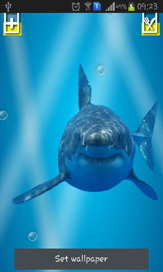 Tiburón enojado: Pantalla rota  - descargar los fondos de pantalla animados Animales gratis para el teléfono Android.