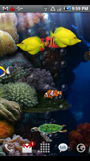 Descargar los fondos de pantalla animados Aquario para teléfonos y tabletas Android gratis.