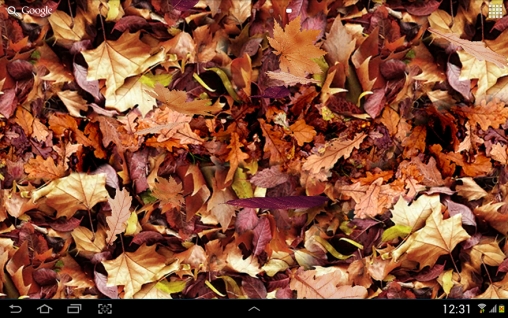 Hojas de otoños 3D - descargar los fondos de pantalla animados gratis para el teléfono Android 4.2.2.