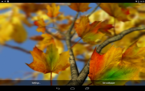 Hojas de otoño 3D - descargar los fondos de pantalla animados gratis para el teléfono Android 4.4.