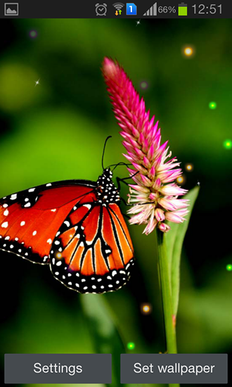 La mejor mariposa  - descargar los fondos de pantalla animados Flores gratis para el teléfono Android.