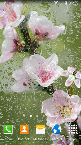Florecimiento  - descargar los fondos de pantalla animados Flores gratis para el teléfono Android.