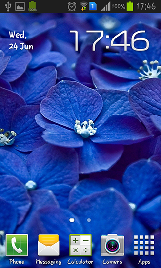 Flores azules  - descargar los fondos de pantalla animados Flores gratis para el teléfono Android.