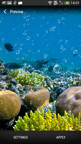 Descargar  Arrecife coralino  - los fondos gratis de pantalla para Android en el escritorio. 