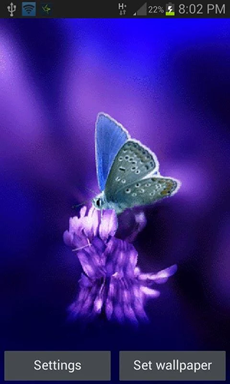 Mariposa linda  - descargar los fondos de pantalla animados Flores gratis para el teléfono Android.