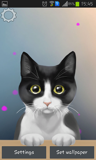 Gatito lindo  - descargar los fondos de pantalla animados Animales gratis para el teléfono Android.