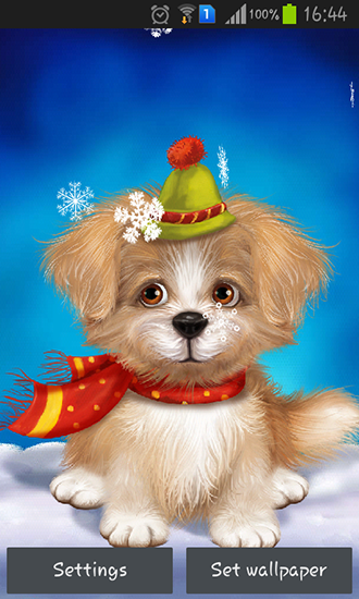 Descargar los fondos de pantalla animados Cachorro lindo para teléfonos y tabletas Android gratis.