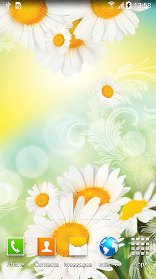Margaritas  - descargar los fondos de pantalla animados Flores gratis para el teléfono Android.