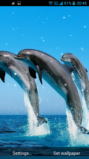 Delfines 3D - descargar los fondos de pantalla animados Animales gratis para el teléfono Android.