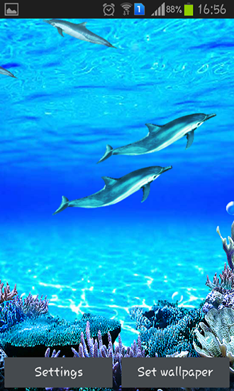 Descargar los fondos de pantalla animados Sonidos de los delfines para teléfonos y tabletas Android gratis.
