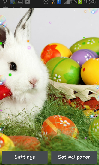 Descargar los fondos de pantalla animados Conejos de Pascuas 2015 para teléfonos y tabletas Android gratis.