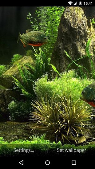 Acuario 3D con peces - descargar los fondos de pantalla animados gratis para el teléfono Android 2.3.4.