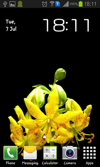 Capullo de flor - descargar los fondos de pantalla animados Flores gratis para el teléfono Android.