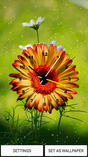 Relojes de flores  - descargar los fondos de pantalla animados Con reloj gratis para el teléfono Android.
