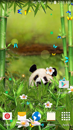 Descargar los fondos de pantalla animados Panda cómica  para teléfonos y tabletas Android gratis.