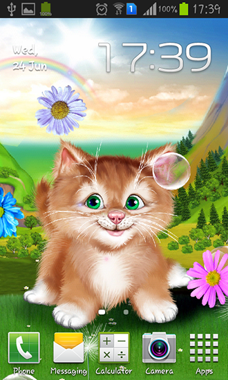 Gatito  - descargar los fondos de pantalla animados Animales gratis para el teléfono Android.