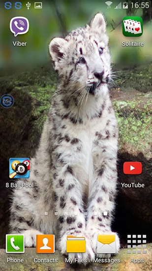 Descargar los fondos de pantalla animados Leopardos: Sacudelo y cambia  para teléfonos y tabletas Android gratis.
