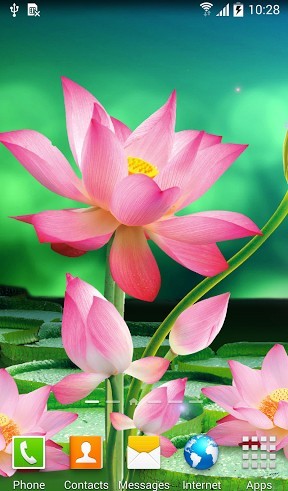 Flores de loto - descargar los fondos de pantalla animados gratis para el teléfono Android 2.3.