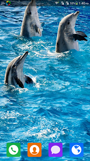 Delfín maravilloso   - descargar los fondos de pantalla animados Animales gratis para el teléfono Android.