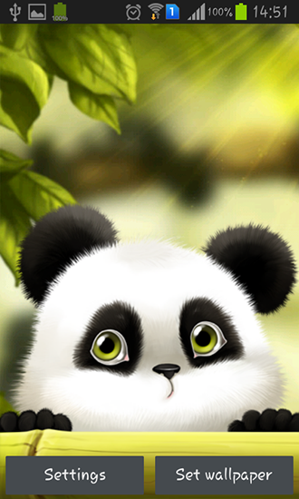 Panda  - descargar los fondos de pantalla animados gratis para el teléfono Android 4.4.2.
